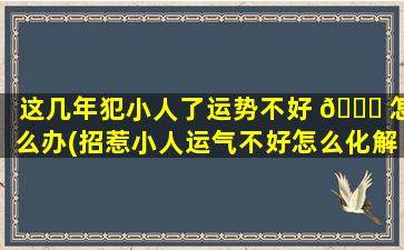 这几年犯小人了运势不好 💐 怎么办(招惹小人运气不好怎么化解)